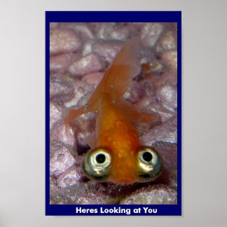 Heres sieht dich an poster