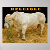 Herford Poster (Vorne)