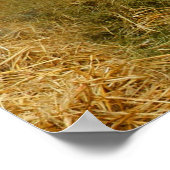 Herford Poster (Ecke)