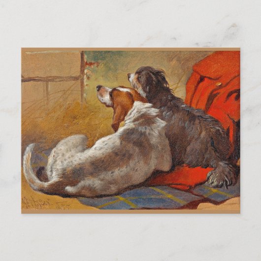 Hering - ein Hund und eine bärtige Collie, Postkarte (Vorderseite)