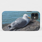 Hering Gull auf Rock Jetty Case-Mate iPhone Hülle (Rückseite (Horizontal))