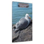 Hering Gull auf Rock Jetty Klemmbrett (Rechts)