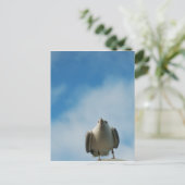 Hering Gull Postcard Postkarte (Stehend Vorderseite)