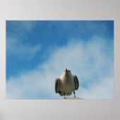 Hering Gull Print Poster (Vorne)