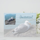 Hering Gull Ruhen auf Felsbesatz: Einladung (Stehend Vorderseite)