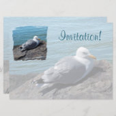 Hering Gull Ruhen auf Felsbesatz: Einladung (Vorne/Hinten)