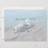 Hering Gull Ruhen auf Felsbesatz: Einladung (Rückseite)