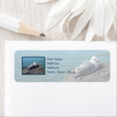 Hering Gull Ruhen auf Felsstein: (Insitu)