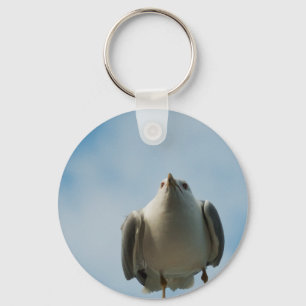 Hering Gull Schlüsselanhänger