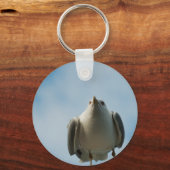 Hering Gull Schlüsselanhänger (Vorderseite)