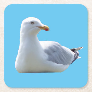 Hering Gull Sunbader Untersetzer