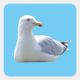 Hering Gull Sunbading Quadratischer Aufkleber