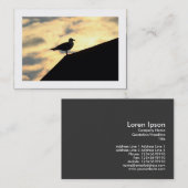 Hering Gull Sunset (grenzt) Visitenkarte (Vorne/Hinten)