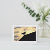 Hering Gull Sunset (grenzt) Visitenkarte (Stehend Vorderseite)