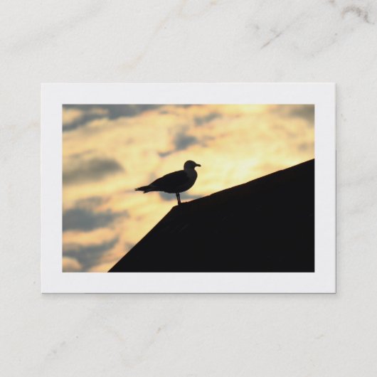 Hering Gull Sunset (grenzt) Visitenkarte (Vorderseite)