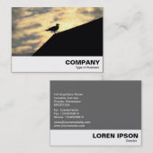 Hering Gull Sunset Visitenkarte (Vorne/Hinten)