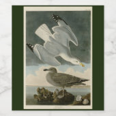 Hering Gull von John Audubons Vögeln in Amerika Weinetikett (Einzelnes Label)