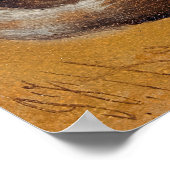 Hering ist ein Hund und eine bärtige Collie Poster (Ecke)