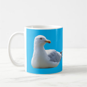 Hering Möwe Sonnenbad Küstenmöwe Wildtier I Kaffeetasse