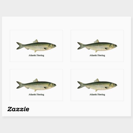 Hering Rechteckiger Aufkleber (Blatt)