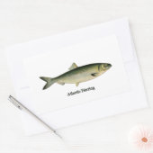 Hering Rechteckiger Aufkleber (Umschlag)