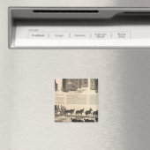 Herings Patentsieger Safes Magnet (In Situ (Geschirrspüler))
