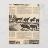 Herings Patentsieger Safes Postkarte (Vorderseite)