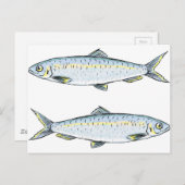 Heringsfisch-Sketch Postkarte (Vorne/Hinten)