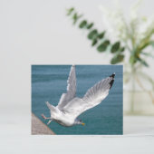 Heringsgullen schließen feiertagspostkarte (Stehend Vorderseite)