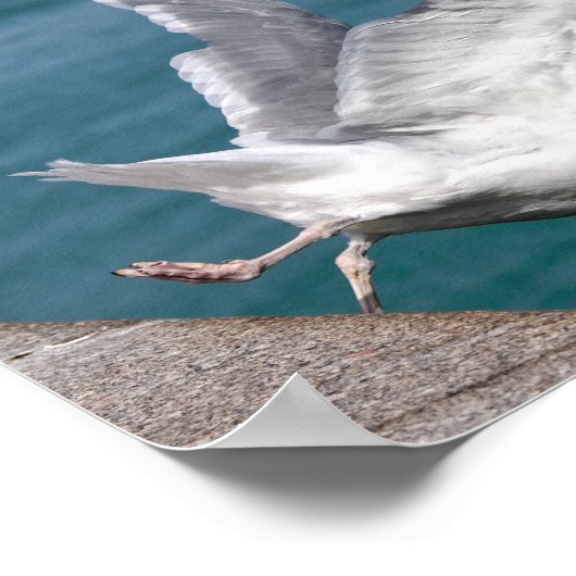 Heringsgullen schließen poster (Ecke)