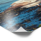 Heringsmöl P1046 Fotodruck (Ecke)