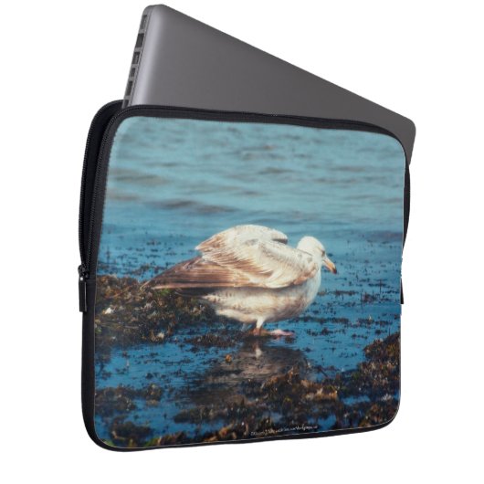 Heringsmöl P1046 Laptopschutzhülle (Vorne Rechts)