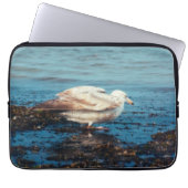 Heringsmöl P1046 Laptopschutzhülle (Vorderseite)