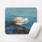 Heringsmöl P1046 Mousepad (Mit Mouse)