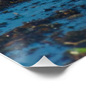 Heringsmöl P1046 Poster (Ecke)