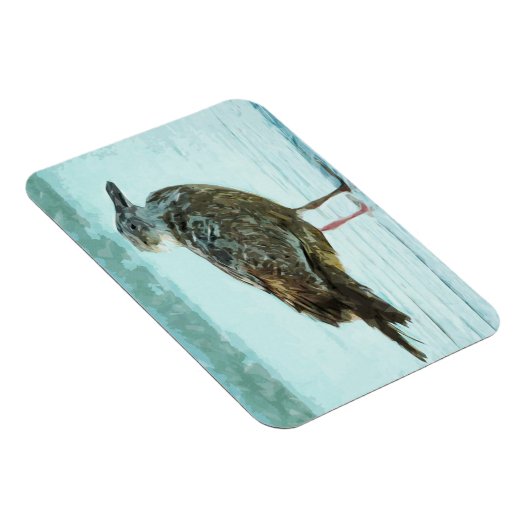 Heringsmöwe am Strand Abstrakt Magnet (Rechte Seite)