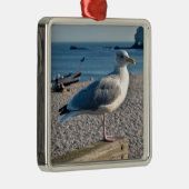 Heringsmöwe auf einem Holzzaun Ornament Aus Metall (Rechts)