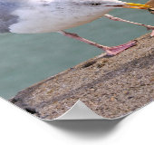 Heringsmöwe, die Papier in ihrem Schnabel hält Poster (Ecke)