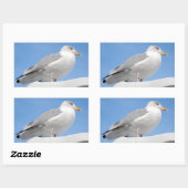 Heringsmöwe in blau schließen rechteckiger aufkleber (Blatt)