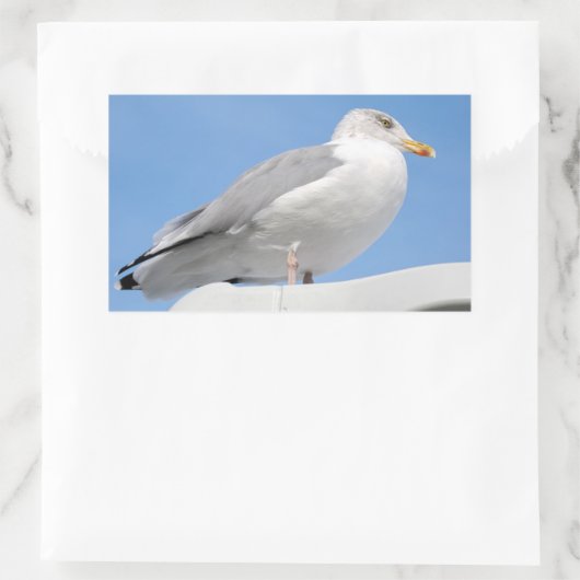 Heringsmöwe in blau schließen rechteckiger aufkleber (Tasche)