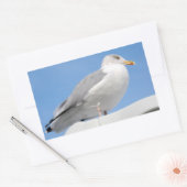 Heringsmöwe in blau schließen rechteckiger aufkleber (Umschlag)