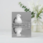 Heringsmöwe mit großer Reflexion über Wasser Postkarte (Stehend Vorderseite)
