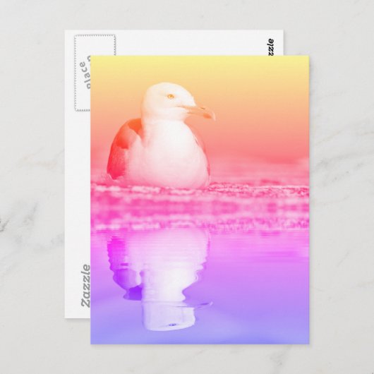 Heringsmöwe mit großer Reflexion über Wasser Postkarte (Vorne/Hinten)