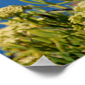 Heringsmöwe stehend poster (Ecke)