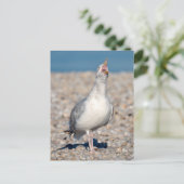 Heringsmöwe zum Weinen Feiertagspostkarte (Stehend Vorderseite)