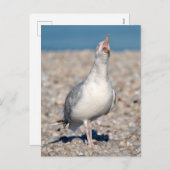 Heringsmöwe zum Weinen Feiertagspostkarte (Vorne/Hinten)