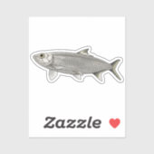 Heringvektordarstellung Aufkleber (Blatt)