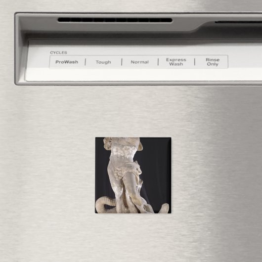 Herkules Bekämpft die Hydra von Lernaean Magnet (In Situ (Geschirrspüler))