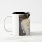 Herkules Zweifarbige Tasse (Links)