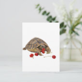 Hermann Tortoise und Strawberries Postkarte (Stehend Vorderseite)